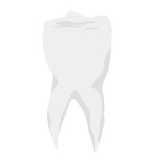 Human teeth vector