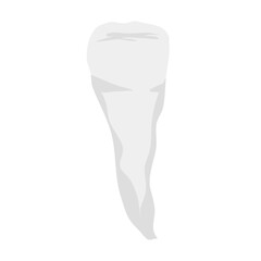 Human teeth vector
