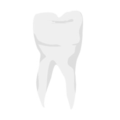 Human teeth vector