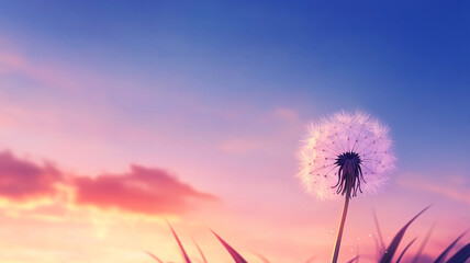 Fototapeta premium Dandelion seed floating in violet sunset against peaceful summer meadow silhouette with magical tranquil nature landscape