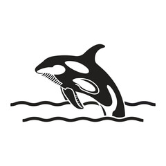 Vector illustration of an orca 