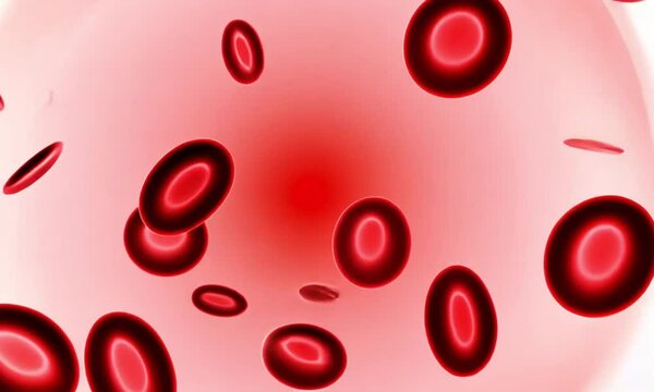 AI - Realistic Blood Particles Illustration &ndash; Red and White Blood Cells, Plasma, and Platelets in Detail