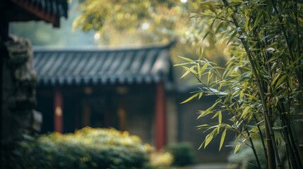 Fototapeta premium Bamboo shoots and leaves in ancient Chinese garden. Blurred background highlights lush greenery and intricate textures.