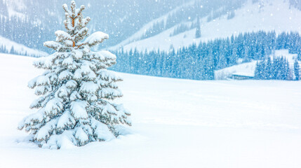 Fototapeta premium Snowy winter landscape, snow-covered fir tree, tranquil scene, ideal for winter holiday, peaceful atmosphere, background use.