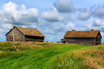 Obraz premium A farm with two old barns and a grassy field