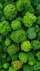 Aerial View of Dense Forest Canopy Showcasing Vibrant Shades of Green, Highlighting Nature's Rich Biodiversity and Lush Foliage in Perfect Harmony