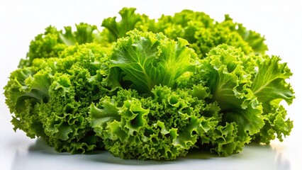Fresh Green Frisee Lettuce Bunch Isolated on White Background - High Resolution Stock Photo