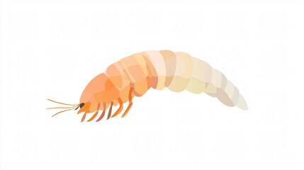 Obraz premium Abstract Orange Shrimp: A Minimalist Depiction of Marine Life