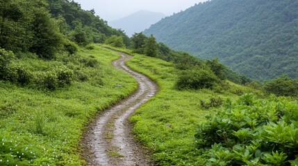 Winding Mountain Path Through Lush Green Foliage