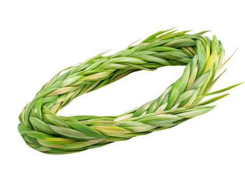 Sweetgrass braid, isolated