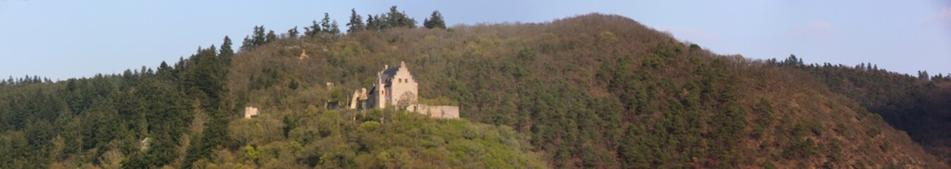 Lonely Altenbaumburg castle in the forest of Altenbamberg in Germany