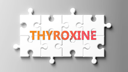 Thyroxine complex like a puzzle - pictured as word thyroxine on a puzzle pieces to show that thyroxine is complex and needs cooperating pieces that fit together. ,3d illustration