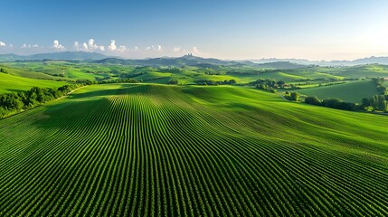Aerial view of rolling green hills and vineyards under a clear blue sky.