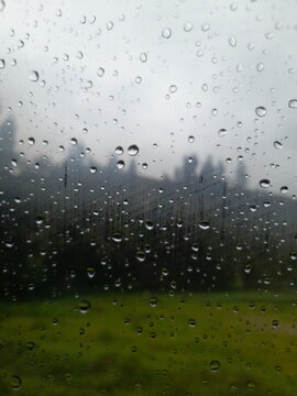 rain drops on window of a car traveling across the forest