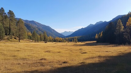Camping scene in the Altay mountains featuring expansive grassy meadow and towering peaks under a clear blue sky, ideal for outdoor adventure, nature exploration, travel.