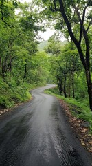 Obraz premium Serene Rain-Kissed Forest Road