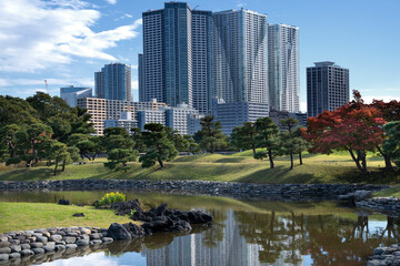 Japan, Tokyo, Hamarikyu Garden in momiji season.