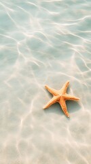 Sunlight filtering through crystal clear shallow water illuminates a starfish resting on the rippled sandy bottom, creating a serene and captivating underwater scene