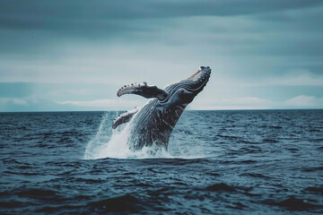 Fototapeta premium Fantastically beautiful majestic huge whale in deep blue ocean, abstract vivid composition consists of fictional unreal fantastic vision on background