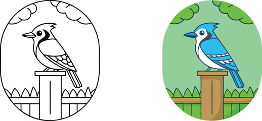 Blue Jay Bird Coloring Page Outline and Colored Version