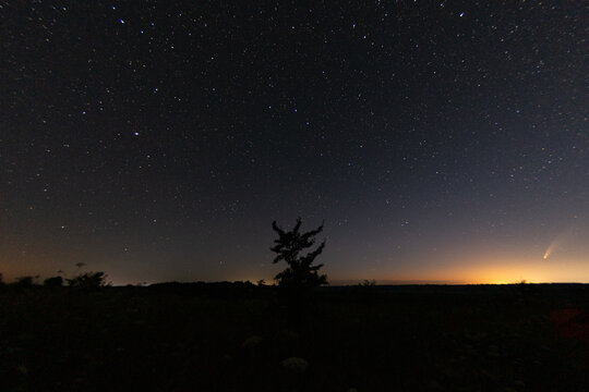 starry night sky