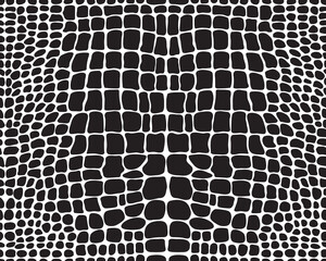 	
Seamless pattern of alligator skin on a white background	

