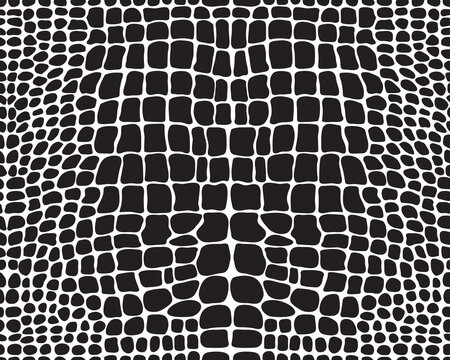 	
Seamless pattern of alligator skin on a white background	
