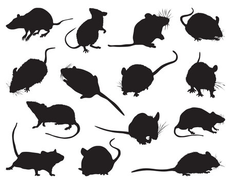 Black silhouettes of mouses on white background