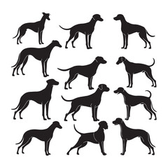 Dog Breeds Silhouette Set German Shephard Dog Silhouette Dogs! Dogs Icon Set