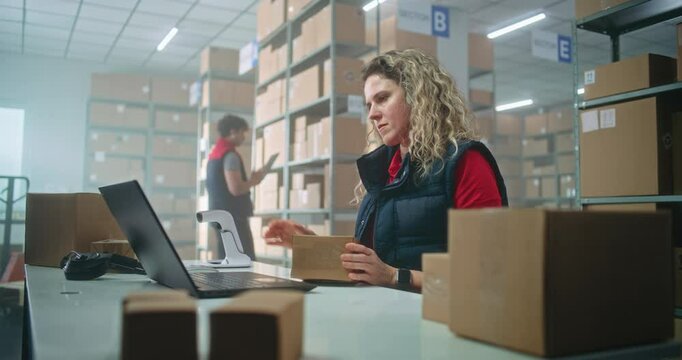Female logistics specialist scans parcel with barcode scanner, checks data using laptop. Sorting center employees checking cardboard boxes for shipping to clients. Load department of postal service.