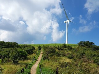 wind turbine in the field