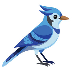 vector blue jay bird art