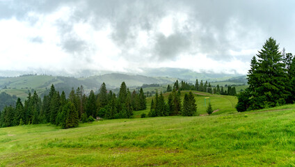 Fototapeta premium Amazing view of the Carpathian mountains
