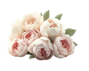 A beautiful bouquet of peony flowers with soft pink petals and green leaves.