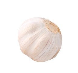 Garlic on transparent png