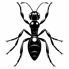 Ant Black silhouette
