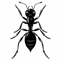 Ant Black silhouette