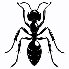 Ant Black silhouette