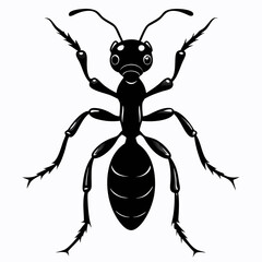Ant Black silhouette