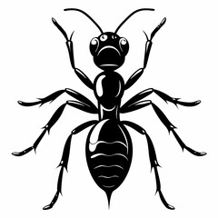 Ant Black silhouette
