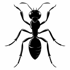 Ant Black silhouette