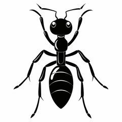 Ant Black silhouette
