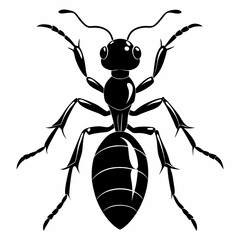 Ant Black silhouette