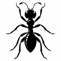 Ant Black silhouette