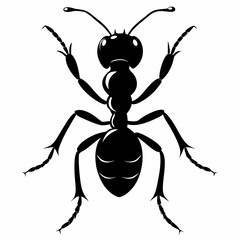 Ant Black silhouette