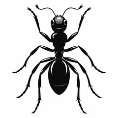 Ant Black silhouette