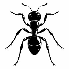 Ant Black silhouette