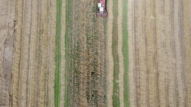 Trebbiatura campi di grano, San Giuliano Nuovo,  provincia di Alessandria - Piemonte - Italia. Video dal drone 