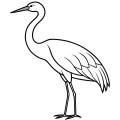 Crane bird vector illustration line art for kids colouring page