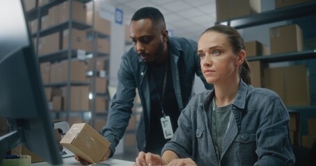 Female logistics coordinator works on computer. African American warehouse associate scans code on...